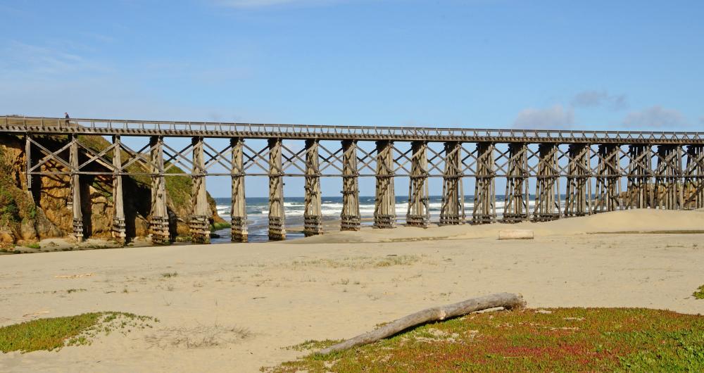 Noyo Center for Marine Science