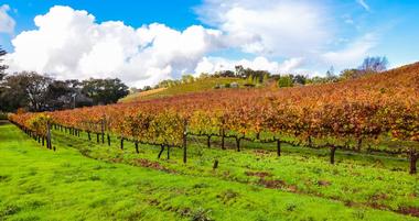 25 Things to do in Glen Ellen, CA