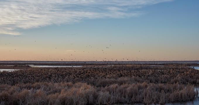 Great Bend, KS