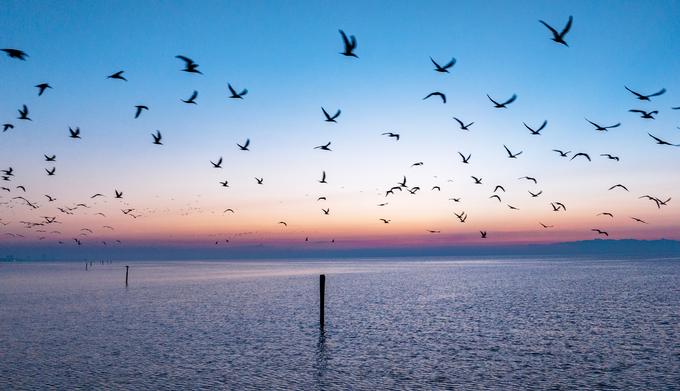 22 Best Things To Do In Gulfport MS