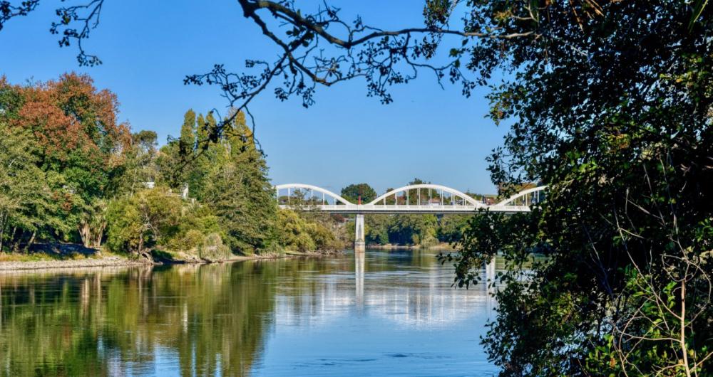 14 Best Things to Do in Hamilton, New Zealand