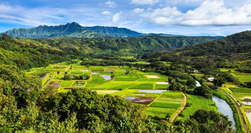 25 Best Things to Do in Hawaii with Kids