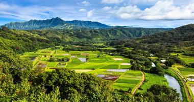 25 Best Things to Do in Hawaii with Kids