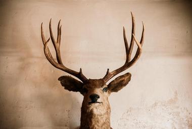 Koke?e Natural History Museum