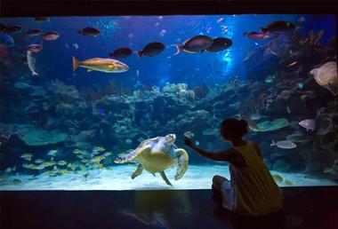 SEA LIFE Helsinki