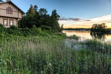 Searasaari