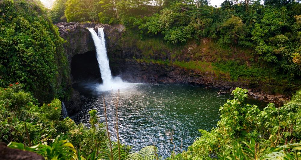 25 Best Things To Do In Hilo Hawaii