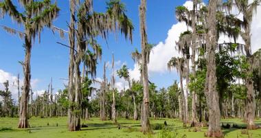 Things to Do in Houma