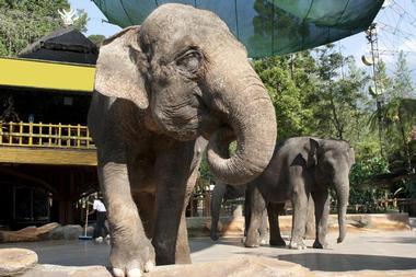 Taman Safari
