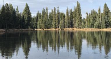 Exploring Island Park, Idaho: Fishing, Hiking & Scenic Views