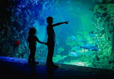 Sea World Ancol