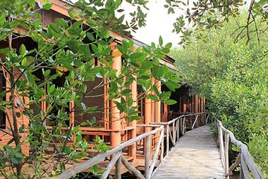 Taman Wisata Alam Mangrove, Angke Kapuk