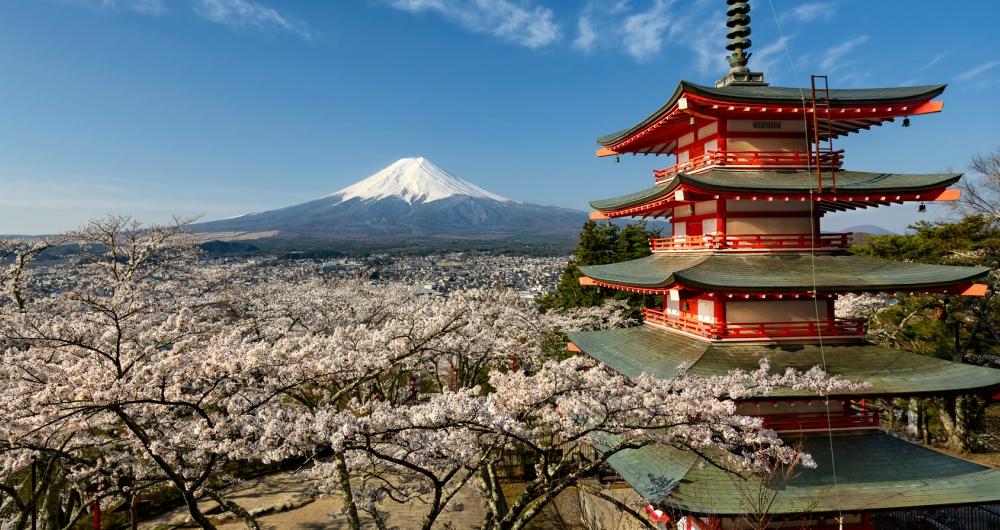 25 Best Things to Do in Japan