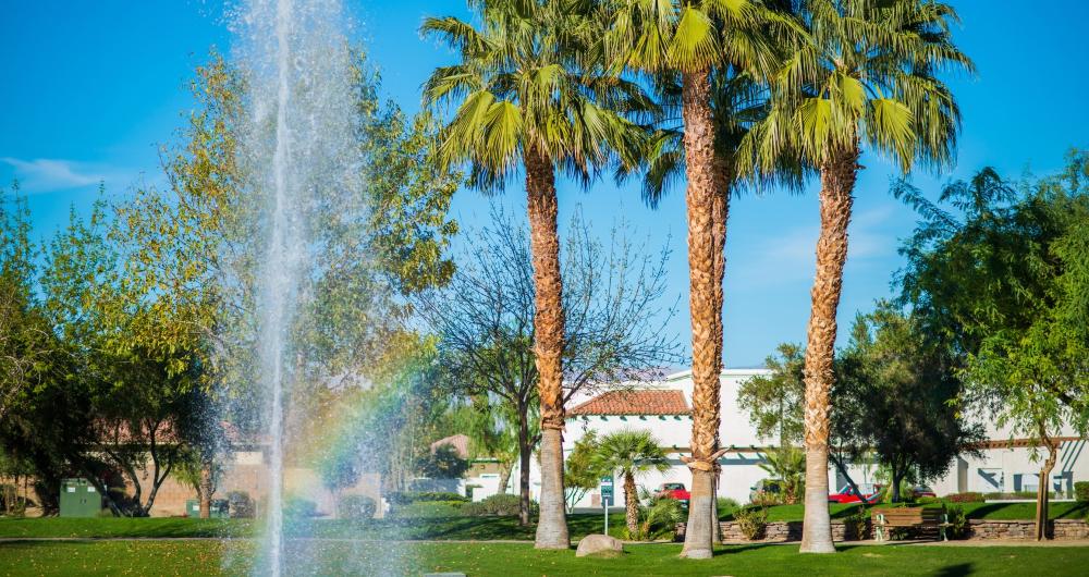 12 Best Things to Do in La Quinta, CA