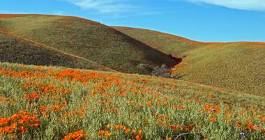 15 Best Things to Do in Lancaster, CA