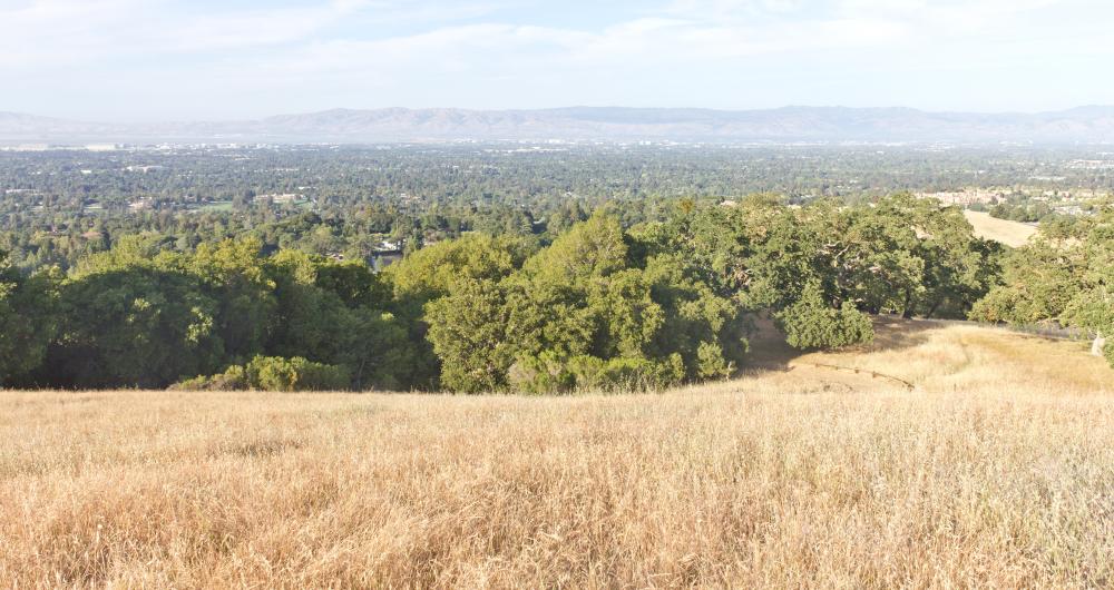 15 Things to do in Los Altos, CA