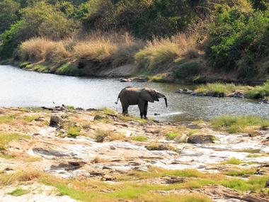 Nkhotakota Wildlife Reserve