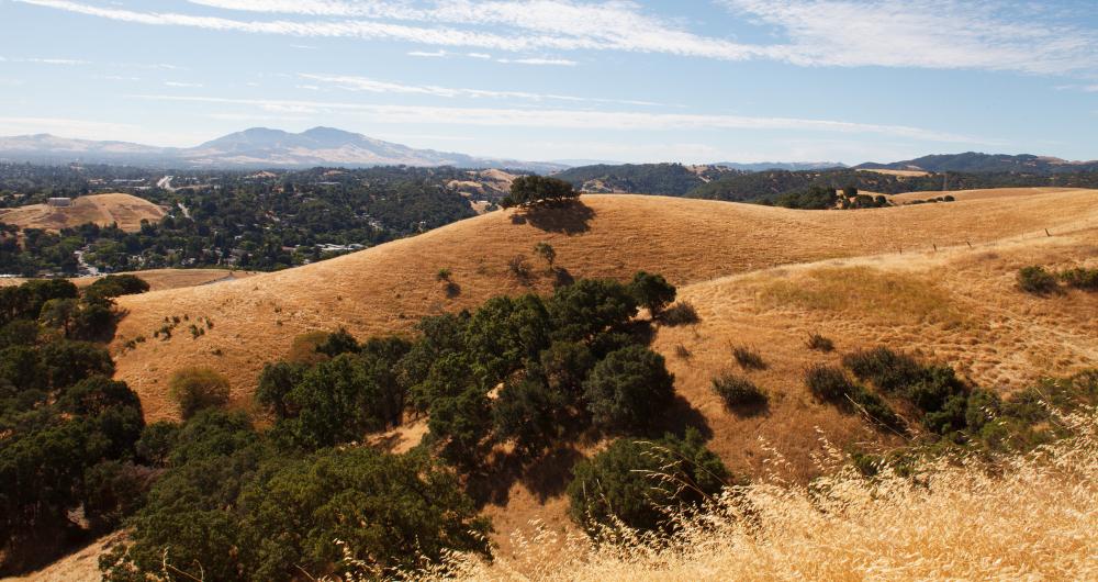 12 Best Things to Do in Martinez, California