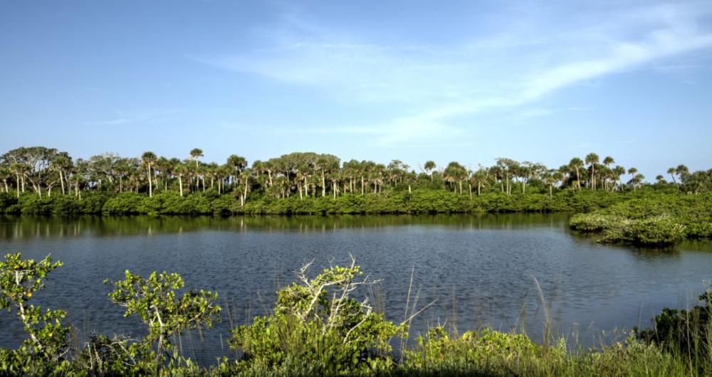 5 Best Things to Do in Merritt Island, FL