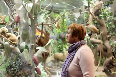 Moscow State University Zoological Museum