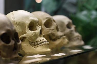 State Darwin Museum, Moscow