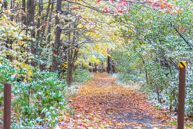 Naples, NY in the fall