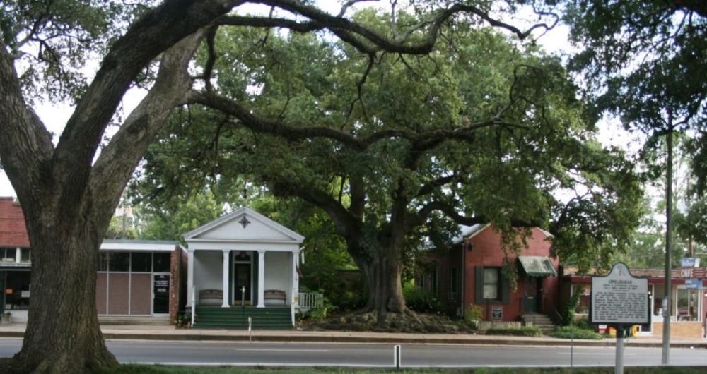 5 Best Things to Do in Opelousas, LA