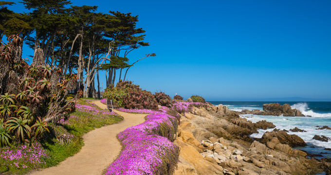 10 Best Things To Do In Pacific Grove California