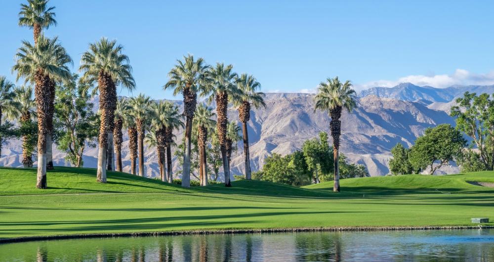 Top 10 Things To Do in Palm Desert