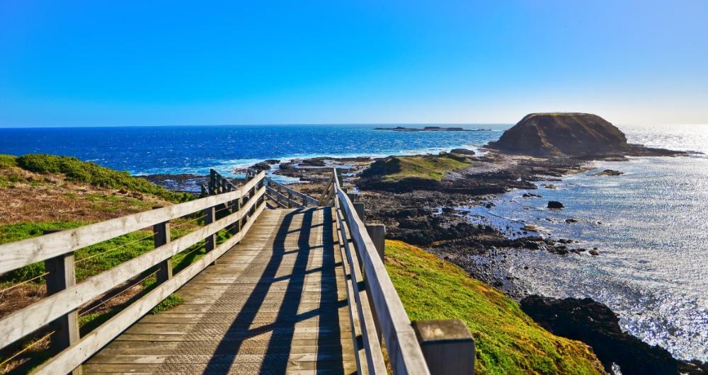 10 Best Things to Do in Philip Island, Victoria, Australia