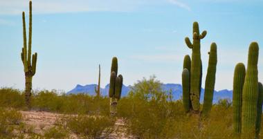 9 Best Things to Do in Queen Creek, Arizona