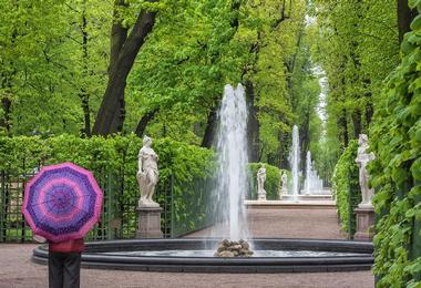 Summer Garden