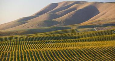 22 Best Things to Do in Santa Maria, CA