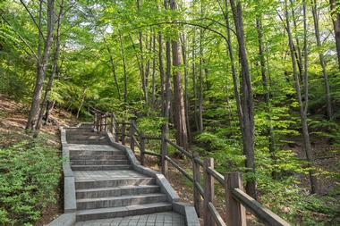 Namsan Park, Seoul, South Korea