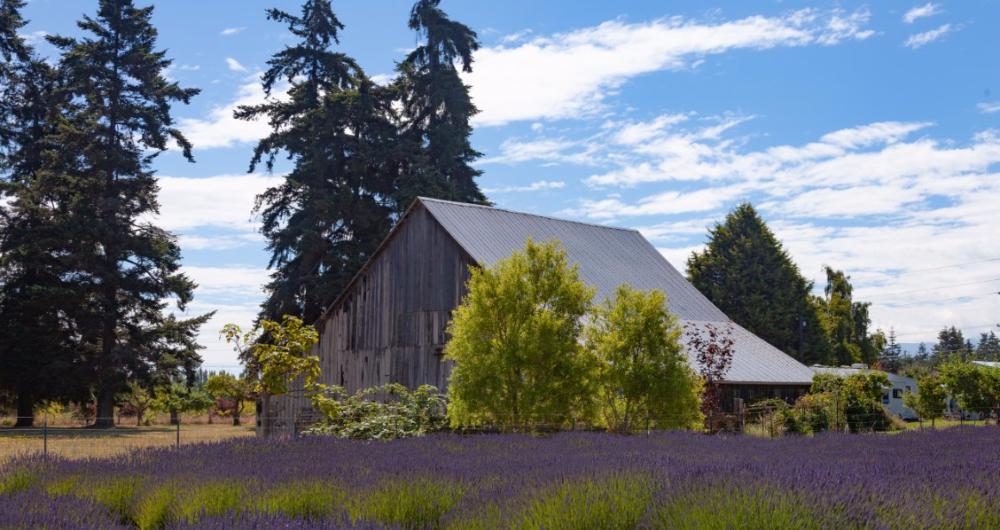 20 Best Things to Do in Sequim, WA