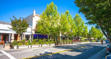 24 Best Things to Do in the Silicon Valley