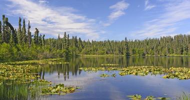 Things to Do in Soldotna