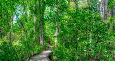 Best Things to Do in Southern Pines, NC