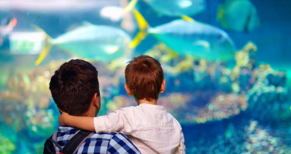 25 Best Things to Do in Texas with Kids