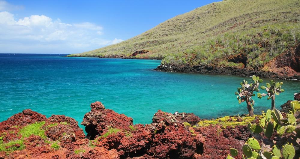  Best Things to Do in the Galapagos