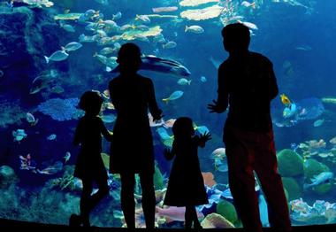 Sea Life Scheveningen
