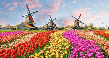 Attractions & Activities in the Netherlands