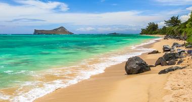 Things to Do on the North Shore of Oahu