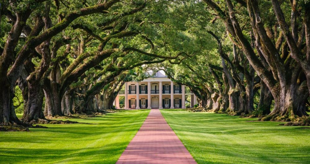 4 Best Things to Do in Vacherie, LA