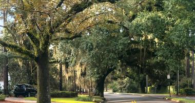 Things to Do in Valdosta, GA