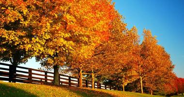 Versailles, Kentucky