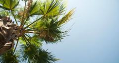 Best Things to Do in Vista, CA