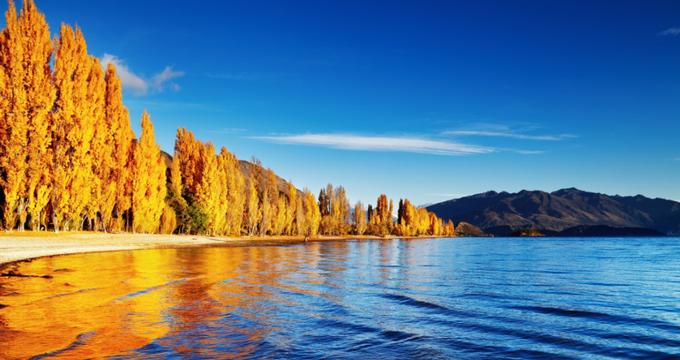 Wanaka New Zealand