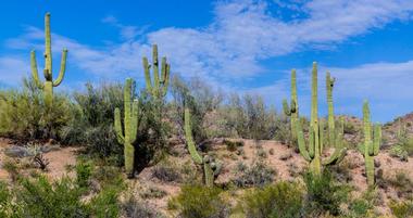 14 Best Things to Do in Wickenburg, AZ