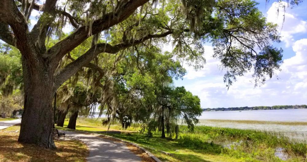 4 Best Things to Do in Winter Haven, FL